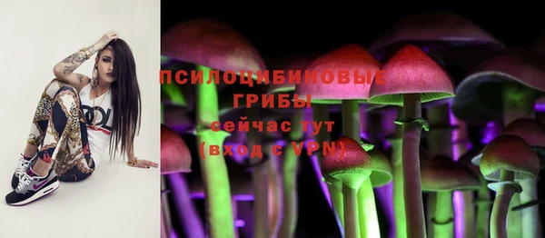 mix Алексин